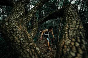 BIB: 
                            <button type="button" onclick="openModal(25692255)" class="btn btn-primary btn-sm float-right btn-popup" data-toggle="modal" data-target=".modal-high-quality">
                        <i class="fas fa-shopping-cart"></i> Add to Cart
                    </button>
                                            <button type="button" onclick="isThisMe(25692255, true)" class="btn btn-success btn-sm float-right btn-popup btn-isme hidden" data-toggle="tooltip" data-placement="bottom" title="นี่คือรูปของคุณใช่ไหม คลิกที่นี่เพื่อเอาเข้าอัลบั้ม">
                        <i class="fas fa-plus"></i> Add to album
                    </button>
                    <button type="button" onclick="isThisMe(25692255, false)" class="btn btn-warning btn-sm float-right btn-popup btn-isnotme hidden">
                        <i class="fas fa-ban"></i> Remove from album
                    </button>